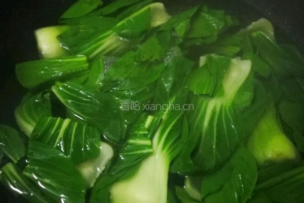 油菜开花的做法图解4