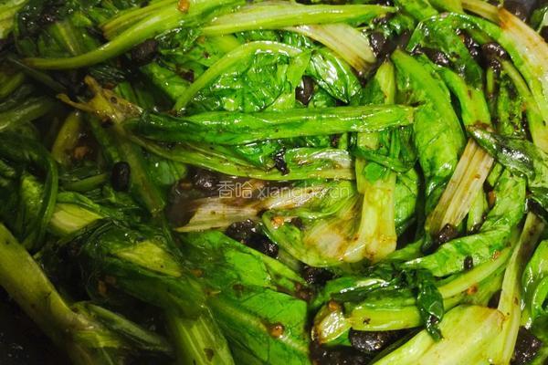 蒜蓉豆豉油麦菜的做法图解5