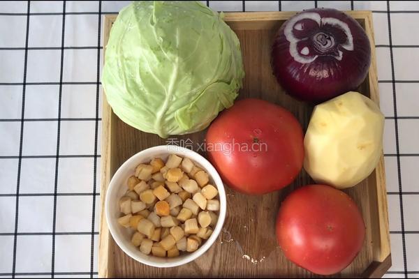 干贝替换牛肉版的—罗宋汤的做法图解1
