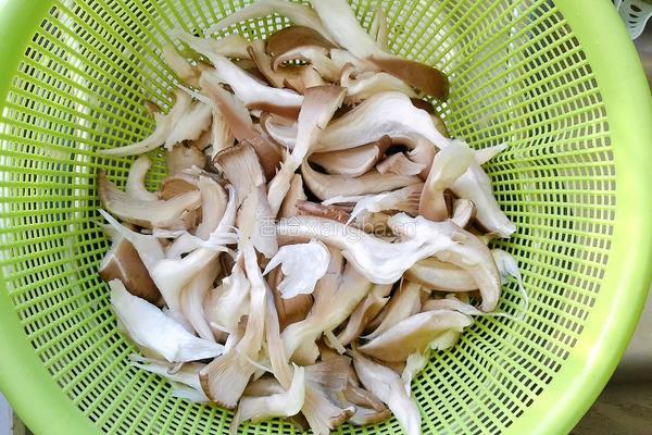 媲美烧烤店的烤鲜蘑的做法图解1