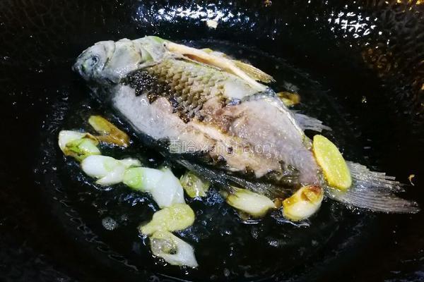 金汤鲫鱼的做法图解2
