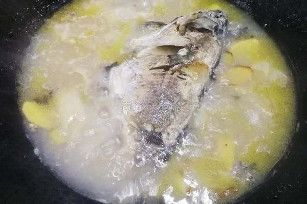 金汤鲫鱼的做法图解3