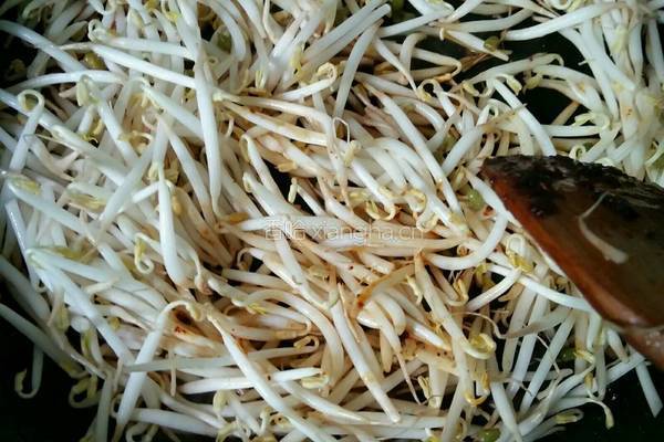 香辣豆芽肉片面的做法图解6