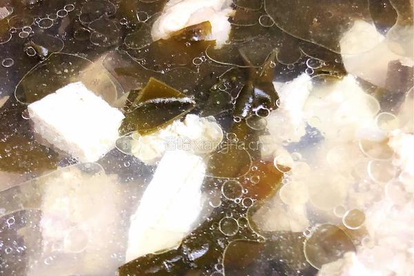 海带骨头豆腐汤的做法图解8