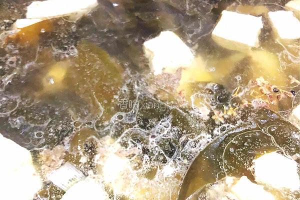 海带骨头豆腐汤的做法图解10