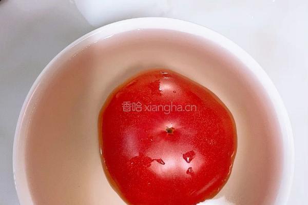 西红柿炒鸡蛋的做法图解4