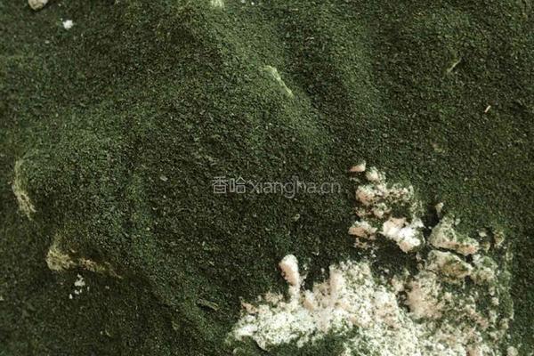 苔条麻花的做法图解6