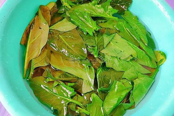 胡萝卜拌菠菜的做法图解6