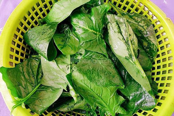 胡萝卜拌菠菜的做法图解7