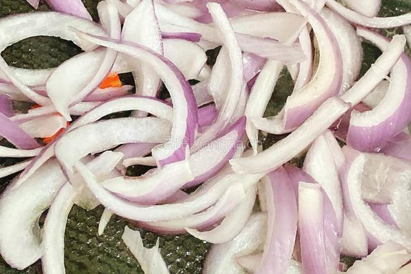 洋葱炒鸭肉的做法图解7