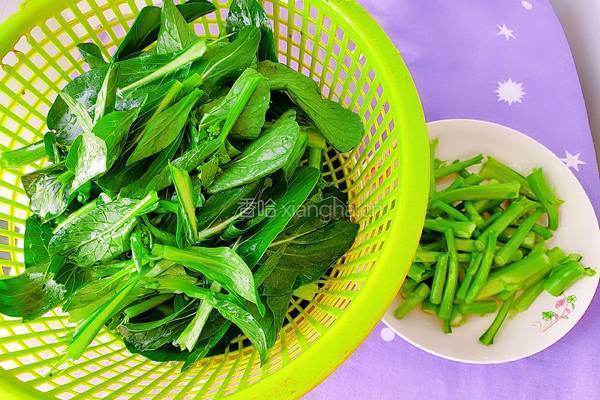 清炒菜心的做法图解4