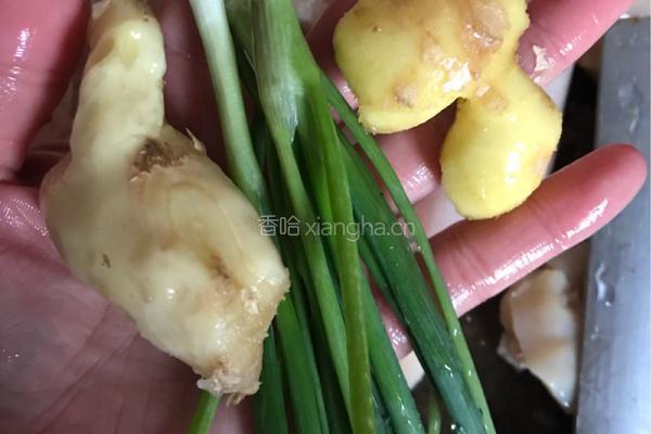 鸡肉玉米肠的做法图解4