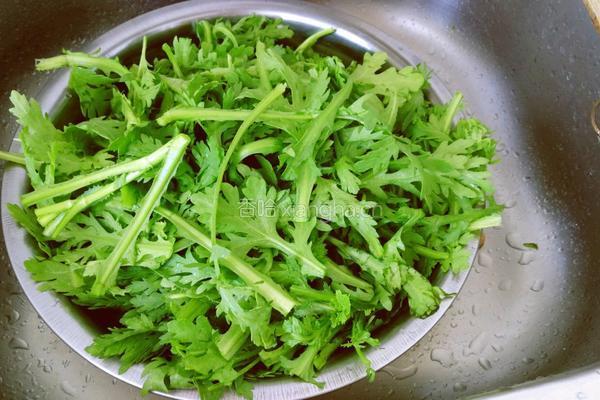 蒜蓉香菇炒茼蒿的做法图解1