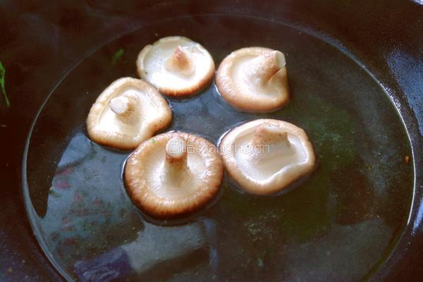 茼蒿梗蘑菇猪肉馅饺子的做法图解7