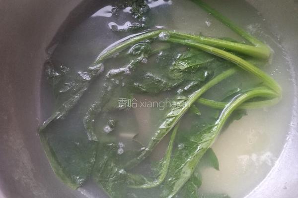 鲍鱼干贝酱拌面的做法图解7