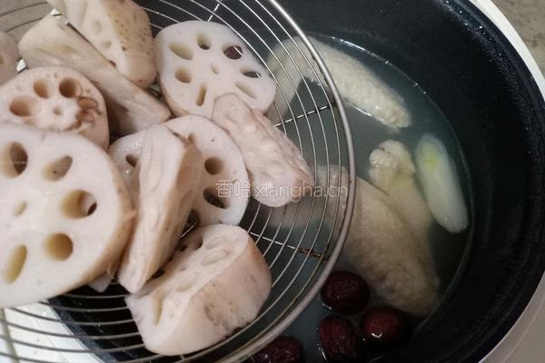红枣莲藕鸡汤的做法图解10