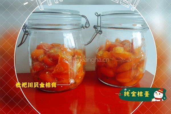 金桔膏（枇杷川贝金桔膏的做法图解8
