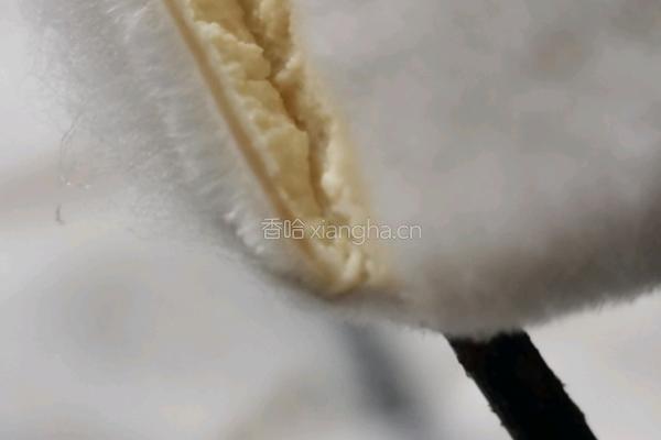 香辣霉豆腐的做法图解12