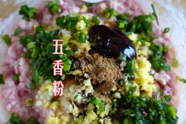 天之饺子的做法图解12