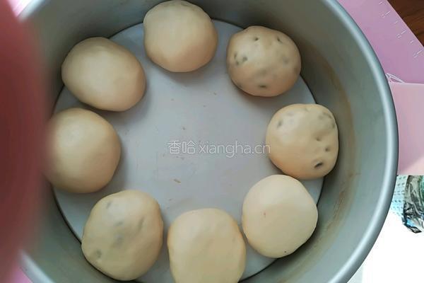 蜜豆海苔肉松面包的做法图解9