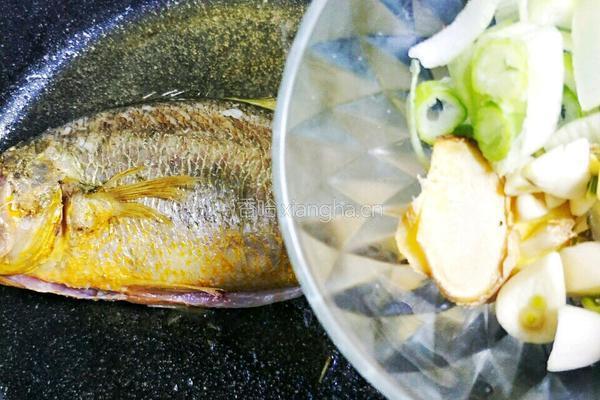 年味美食黄花鱼的做法图解3