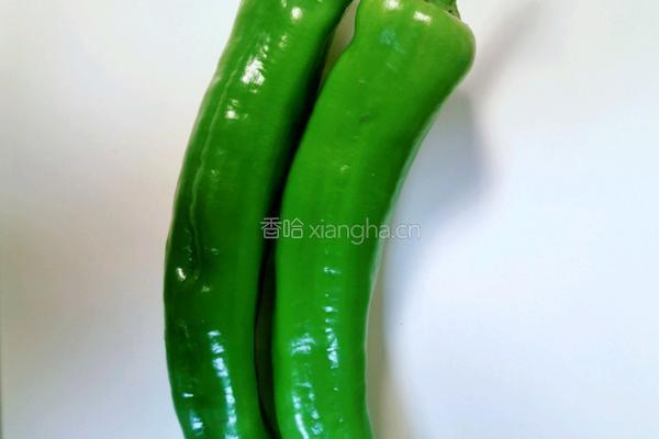 小炒肉的做法图解2
