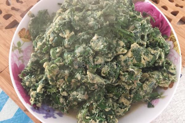 荠菜炒蛋的做法图解7