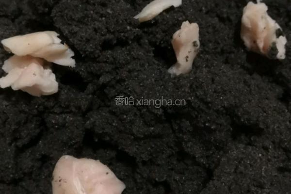 黑芝麻馅汤圆的做法图解2