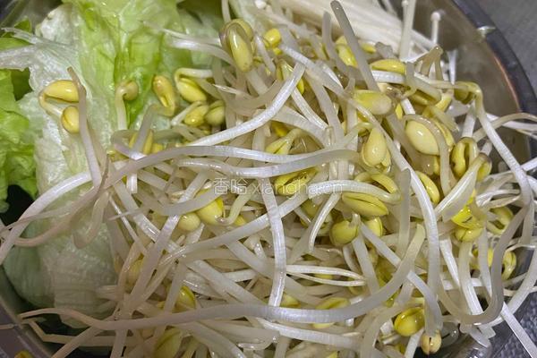 番茄巴沙鱼的做法图解2
