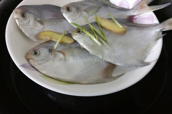 清蒸白鲳鱼的做法图解6