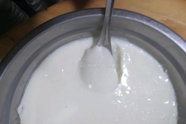 双皮奶的做法图解8