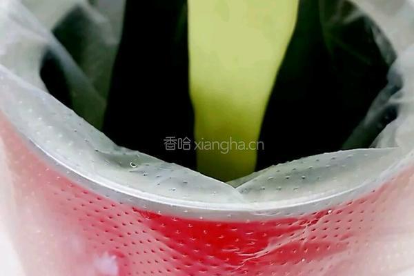 蕾丝网黄瓜饼的做法图解6