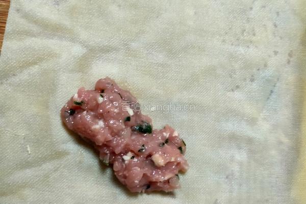 冬笋肉末百叶包的做法图解3