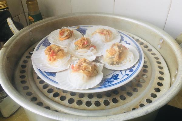蒜蓉粉丝蒸扇贝的做法图解8