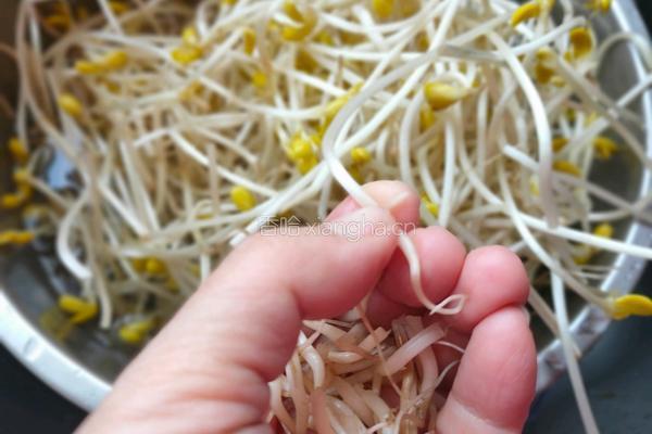雪菜炒黄豆芽的做法图解3
