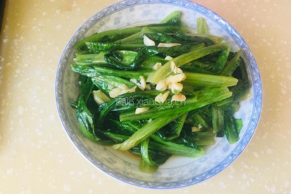 蒜香油麦菜
