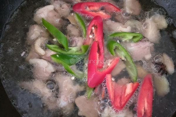 啤酒鸭的做法图解9