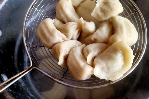 西葫芦肉馅饺子的做法图解12