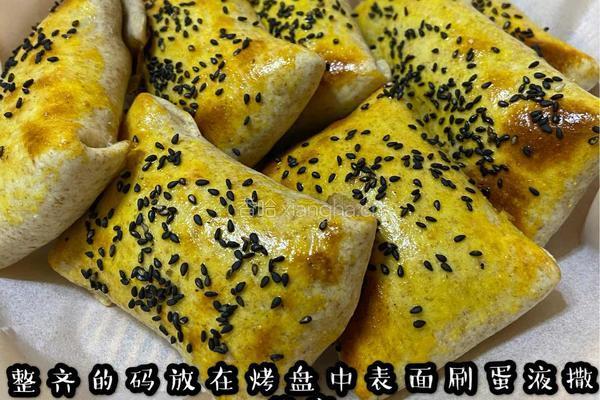 酸菜牛肉烤包子的做法图解6