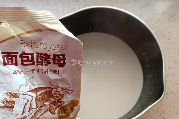 贝壳馒头的做法图解1