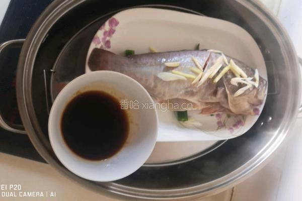 清蒸石斑鱼的做法图解4