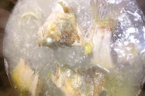 酸菜鱼的做法图解10