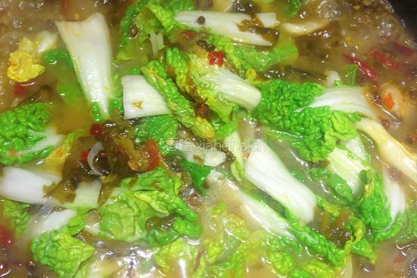 酸菜鱼的做法图解15