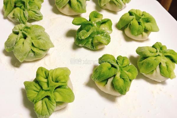 白菜饺子的做法图解5