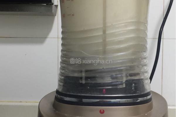 自制豆腐的做法图解3