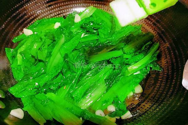 清炒油麦菜的做法图解11