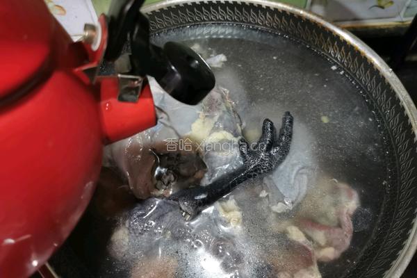 人参虫草花响螺胡萝卜乌鸡汤的做法图解4