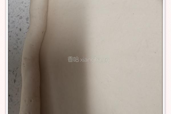 白面馒头的做法图解6