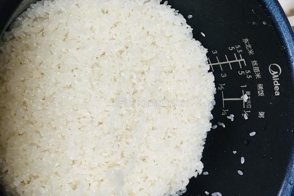 手抓羊肉饭的做法图解1