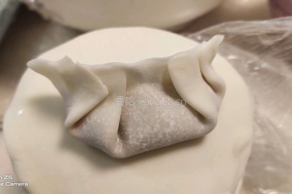 胡萝卜肉饺子的做法图解11